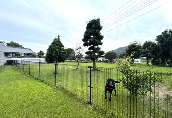 フェンス